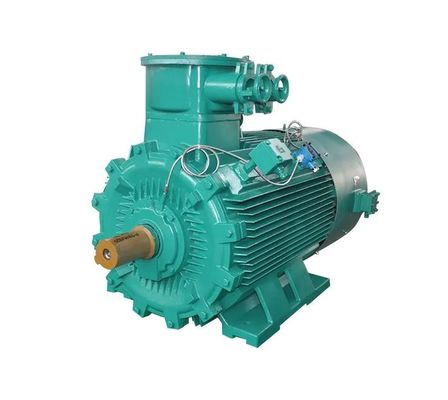 ODM Explosion Proof Motor Low Voltage Flameproof Perlindungan IP55