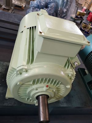 Motor Listrik Besi Cor 18.5kw Motor AC Kandang Tupai Tiga Fasa Asinkron
