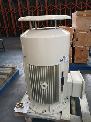 Motor Listrik Besi Cor 18.5kw Motor AC Kandang Tupai Tiga Fasa Asinkron