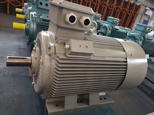 Motor Induksi Kandang Tupai Tegangan Menengah 6kv 10kv Inverter Tiga Fasa